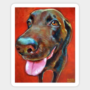 Colorful CHOCOLATE LAB on Red by Robert Phelps Sticker